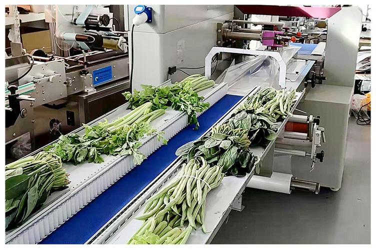 武汉蔬菜包装机械推荐电话